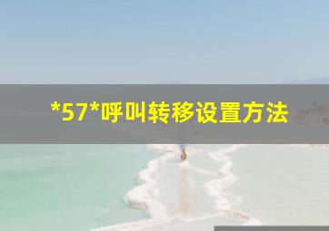 *57*呼叫转移设置方法