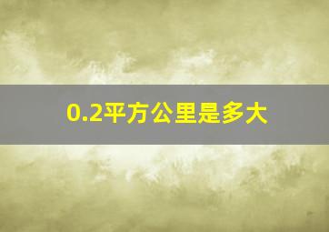 0.2平方公里是多大