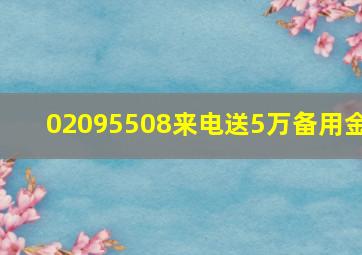 02095508来电送5万备用金