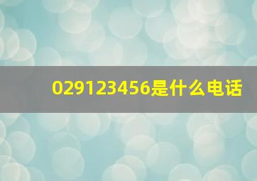 029123456是什么电话