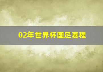 02年世界杯国足赛程