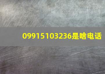 09915103236是啥电话