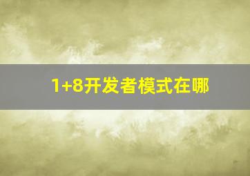 1+8开发者模式在哪