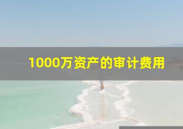 1000万资产的审计费用