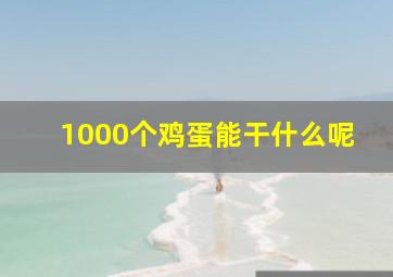 1000个鸡蛋能干什么呢