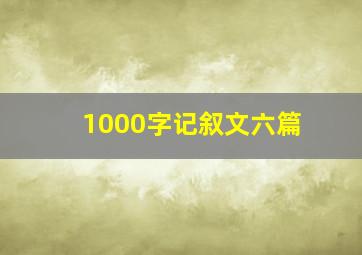 1000字记叙文六篇