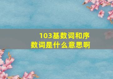 103基数词和序数词是什么意思啊