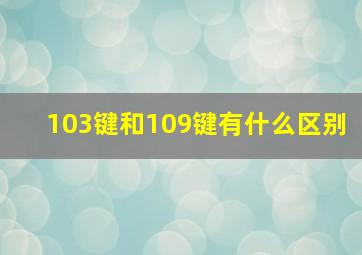 103键和109键有什么区别