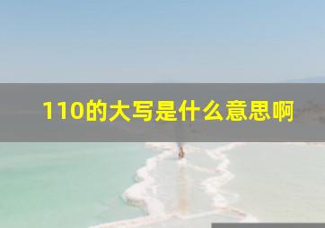 110的大写是什么意思啊