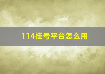 114挂号平台怎么用