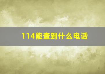 114能查到什么电话