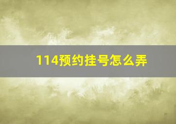 114预约挂号怎么弄