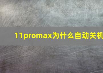 11promax为什么自动关机