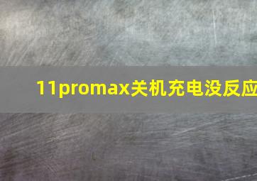 11promax关机充电没反应