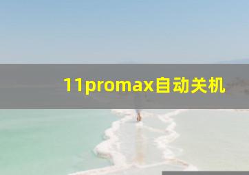 11promax自动关机