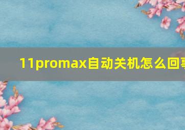 11promax自动关机怎么回事