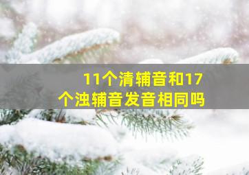 11个清辅音和17个浊辅音发音相同吗