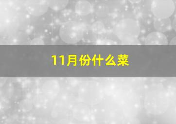 11月份什么菜