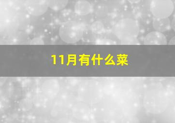 11月有什么菜