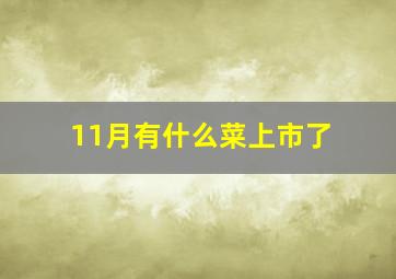 11月有什么菜上市了