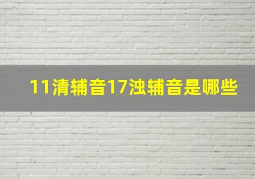 11清辅音17浊辅音是哪些