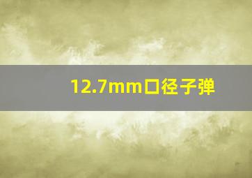 12.7mm口径子弹