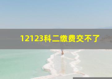 12123科二缴费交不了