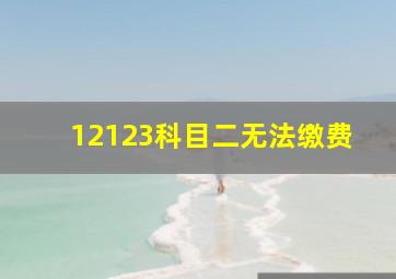 12123科目二无法缴费