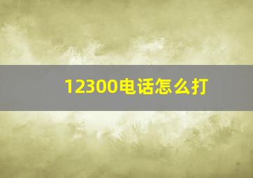 12300电话怎么打