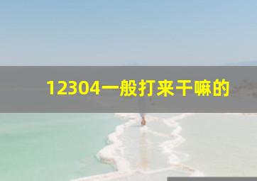 12304一般打来干嘛的