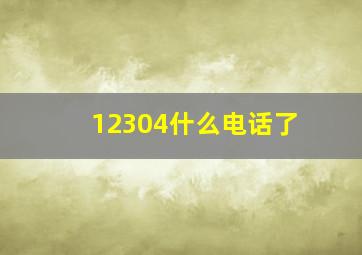 12304什么电话了