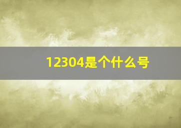 12304是个什么号