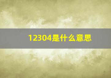 12304是什么意思