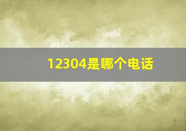 12304是哪个电话