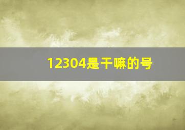 12304是干嘛的号