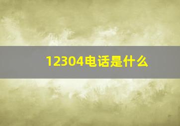 12304电话是什么