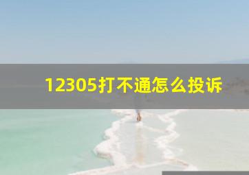 12305打不通怎么投诉