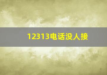 12313电话没人接