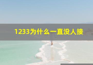 1233为什么一直没人接