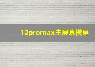 12promax主屏幕横屏