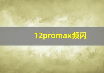 12promax频闪