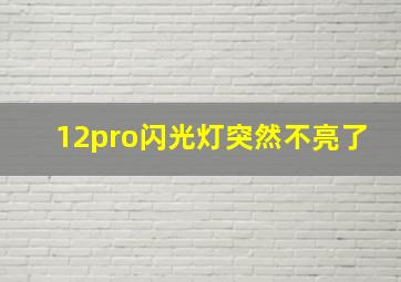 12pro闪光灯突然不亮了