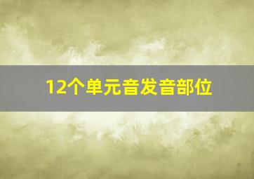 12个单元音发音部位