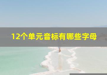 12个单元音标有哪些字母