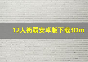 12人街霸安卓版下载3Dm