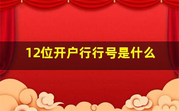 12位开户行行号是什么