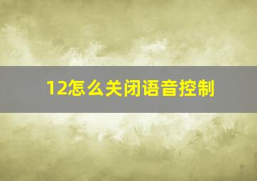 12怎么关闭语音控制