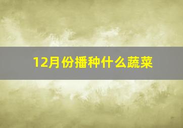 12月份播种什么蔬菜