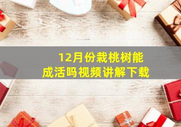 12月份栽桃树能成活吗视频讲解下载