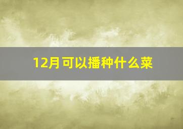 12月可以播种什么菜